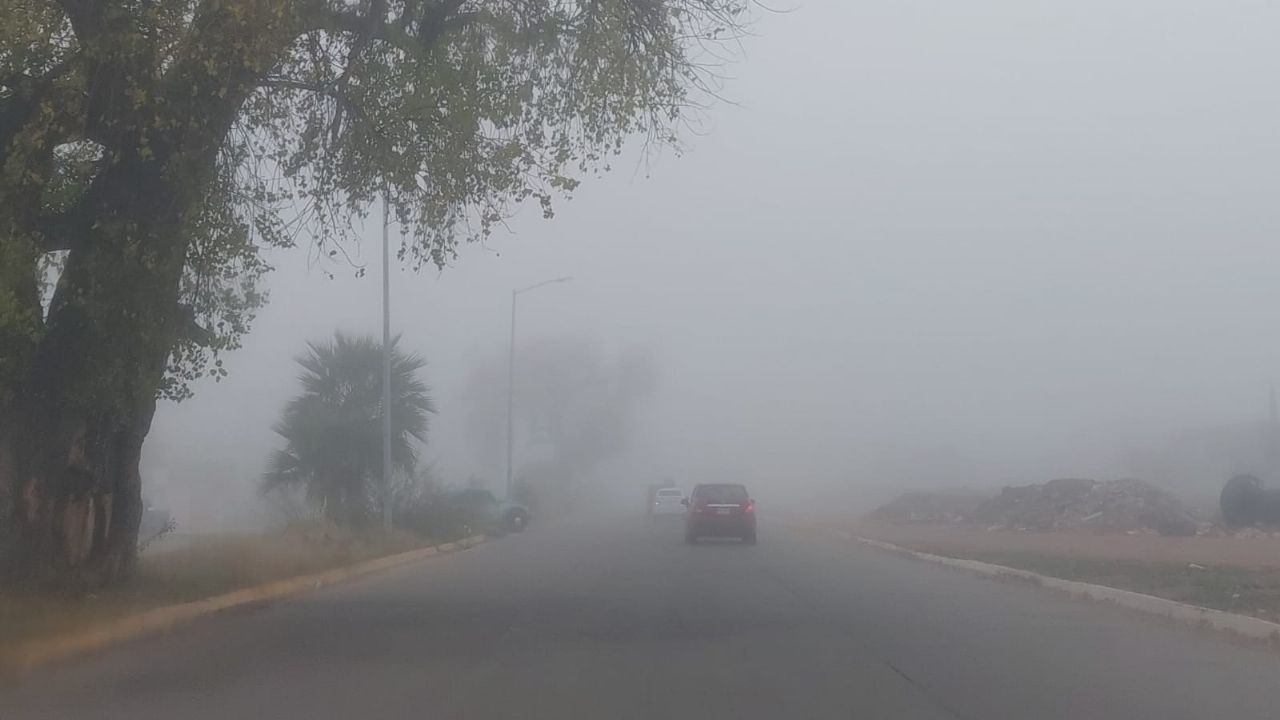 Camino con mucha niebla en Sinaloa