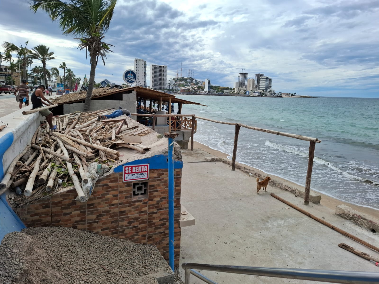 Palapas a la orilla del mar