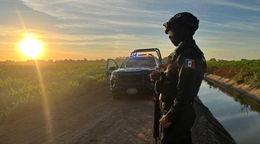 Elementos de la policía municipal de navolato en un campo de siembra