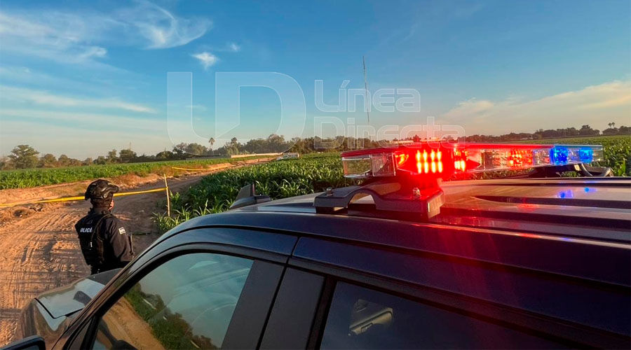Localizan a dos personas sin vida en Navolato, Sinaloa