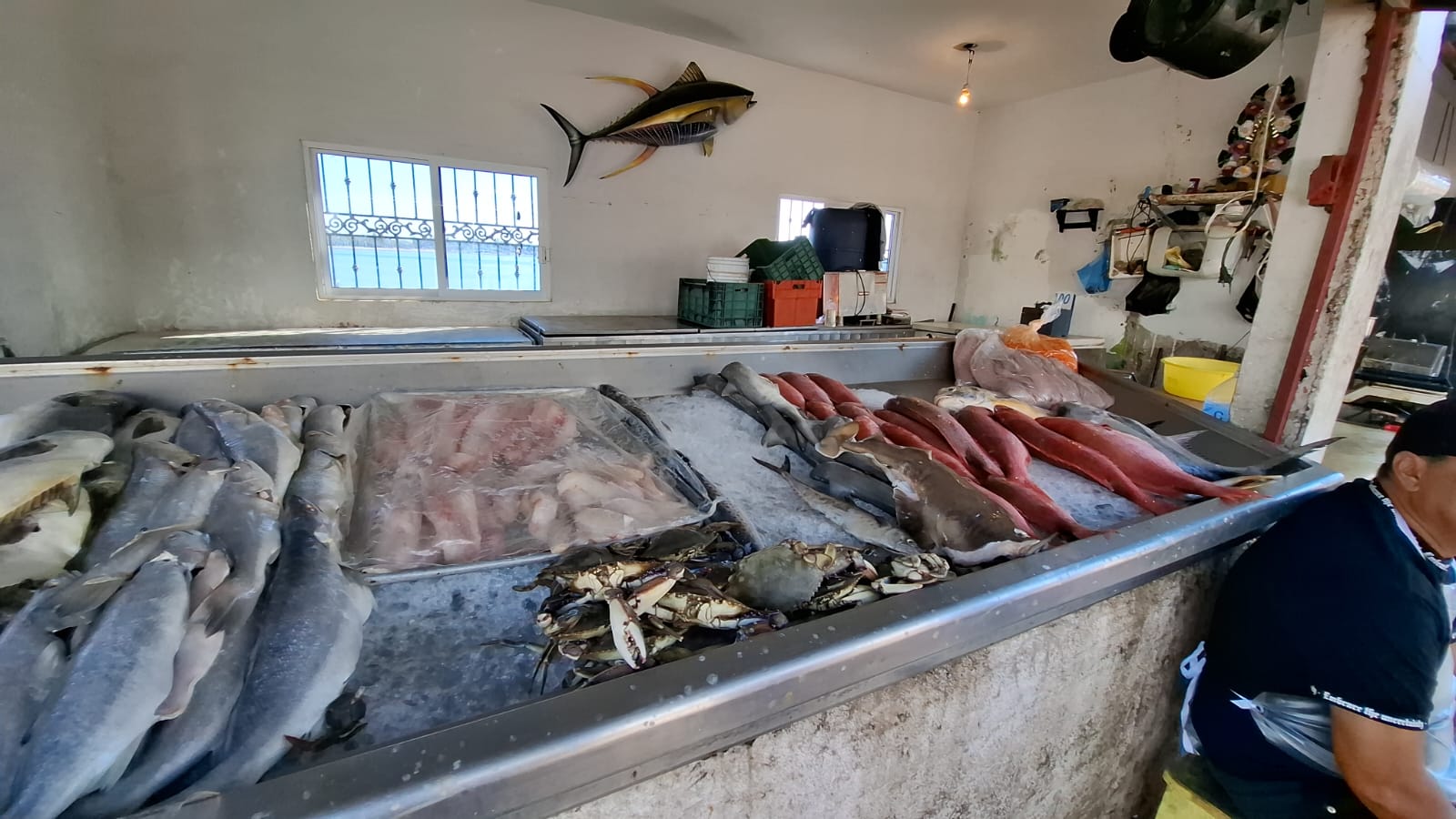 Pescados en un estante de una pescadería