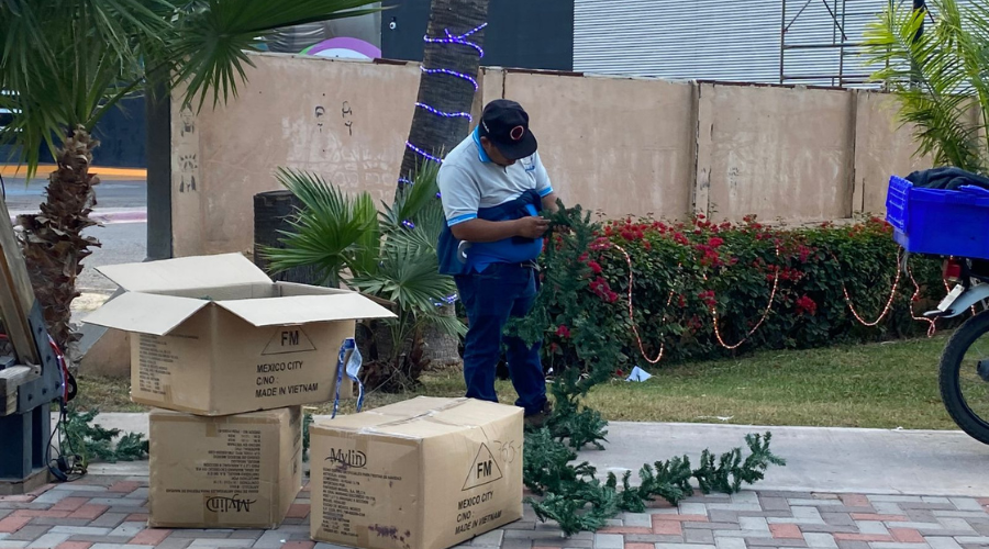 Personal de Servicios Públicos colocan el pino navideño en Los Mochis