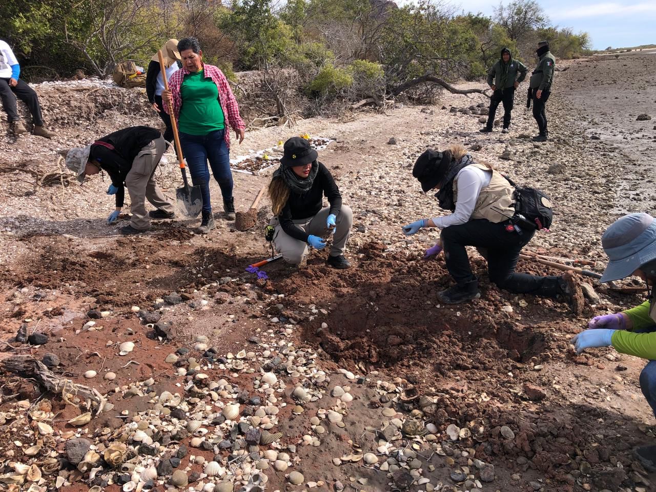 Rastreadoras de El Fuerte escavando en terreno