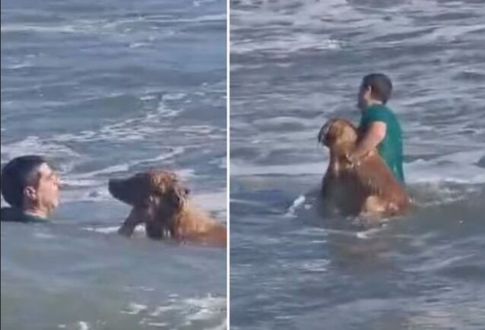¡Heroico rescate! Hombre salva a perrito arrastrado por el fuerte oleaje en Argentina: VIDEO
