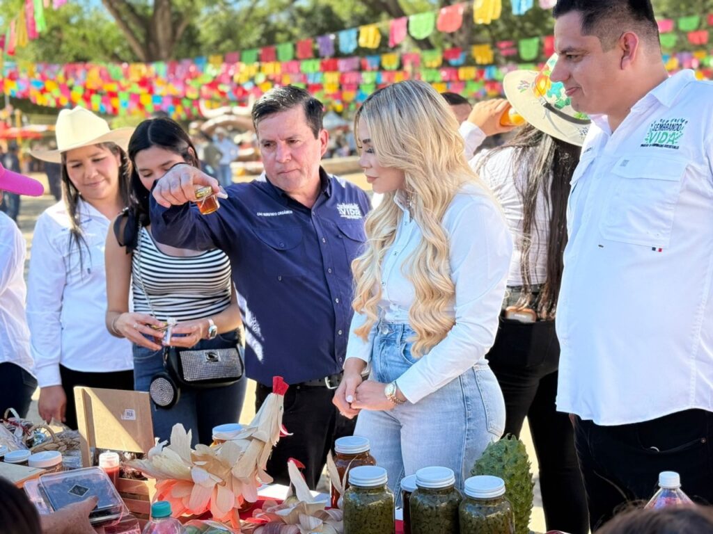 Diputada de Morena, Verónica Avilés Rochín