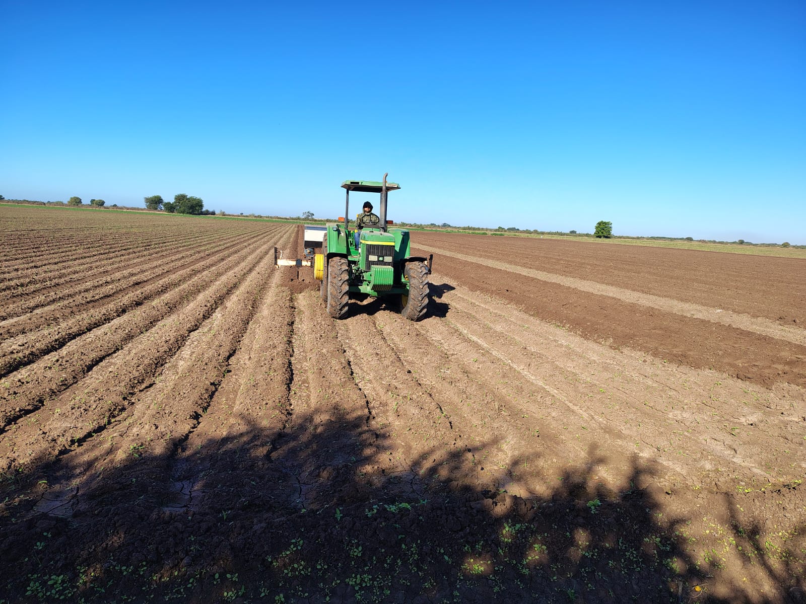 Agricultor en un tractor