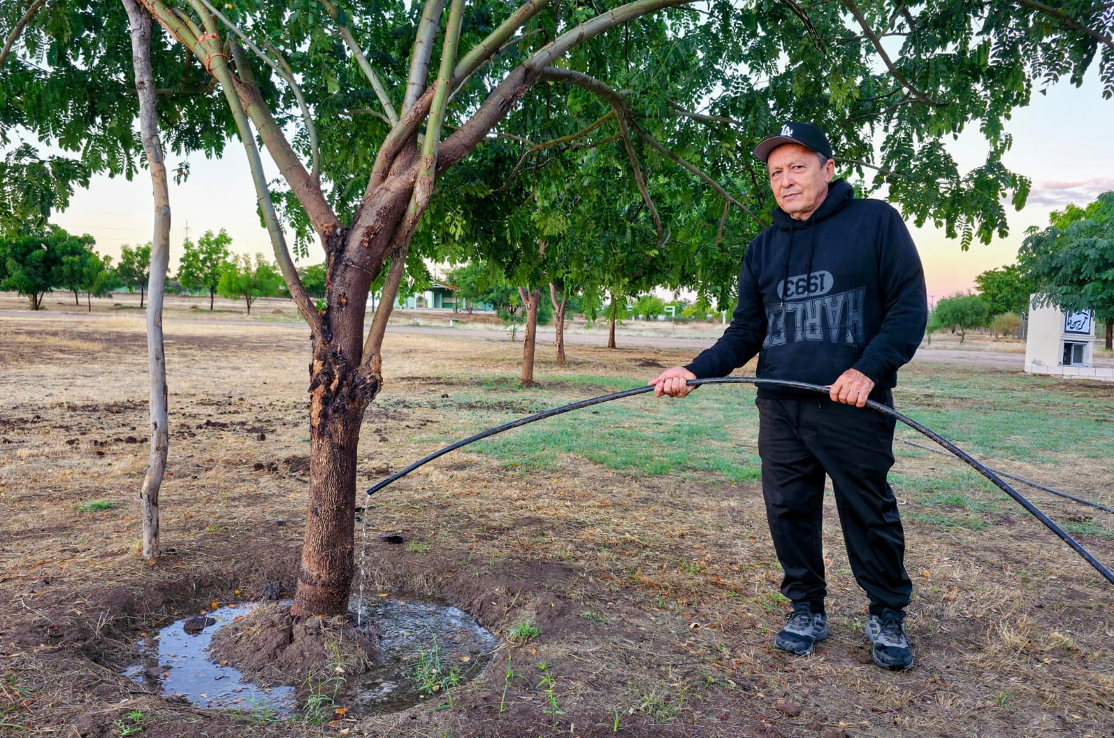Hombre regando un árbol