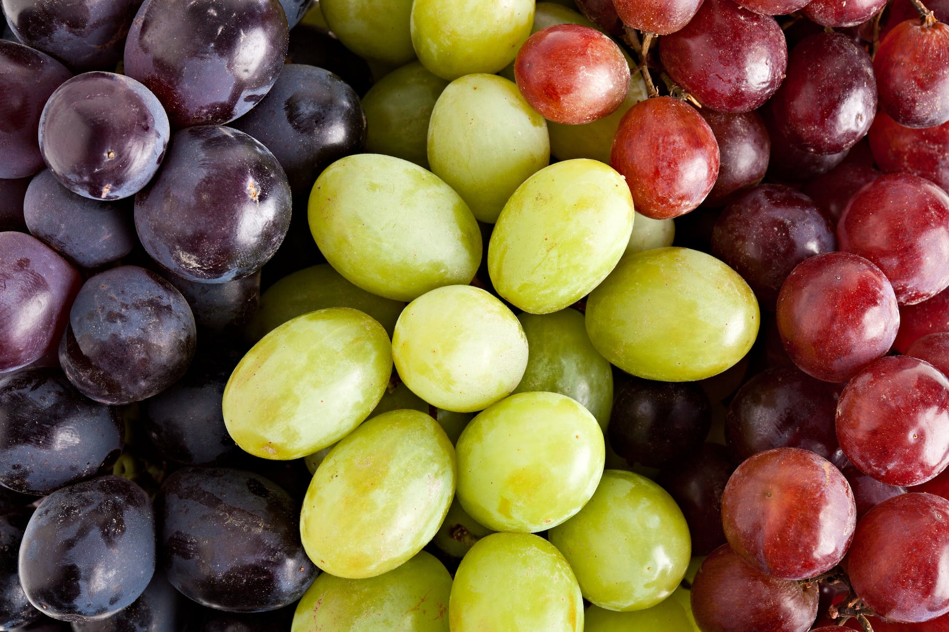 A propósito de las fiestas de fin de año, Profeco revela las uvas más caras y más baratas del mercado