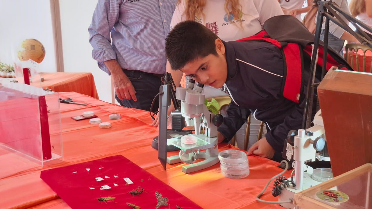 Niño mirando a través de un microscopio