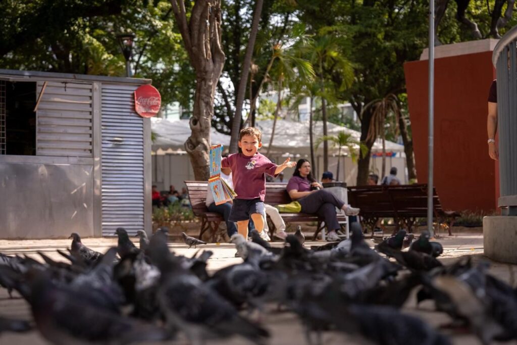 Niño corriendo en la plazuela obregó junto a un grupo de aves