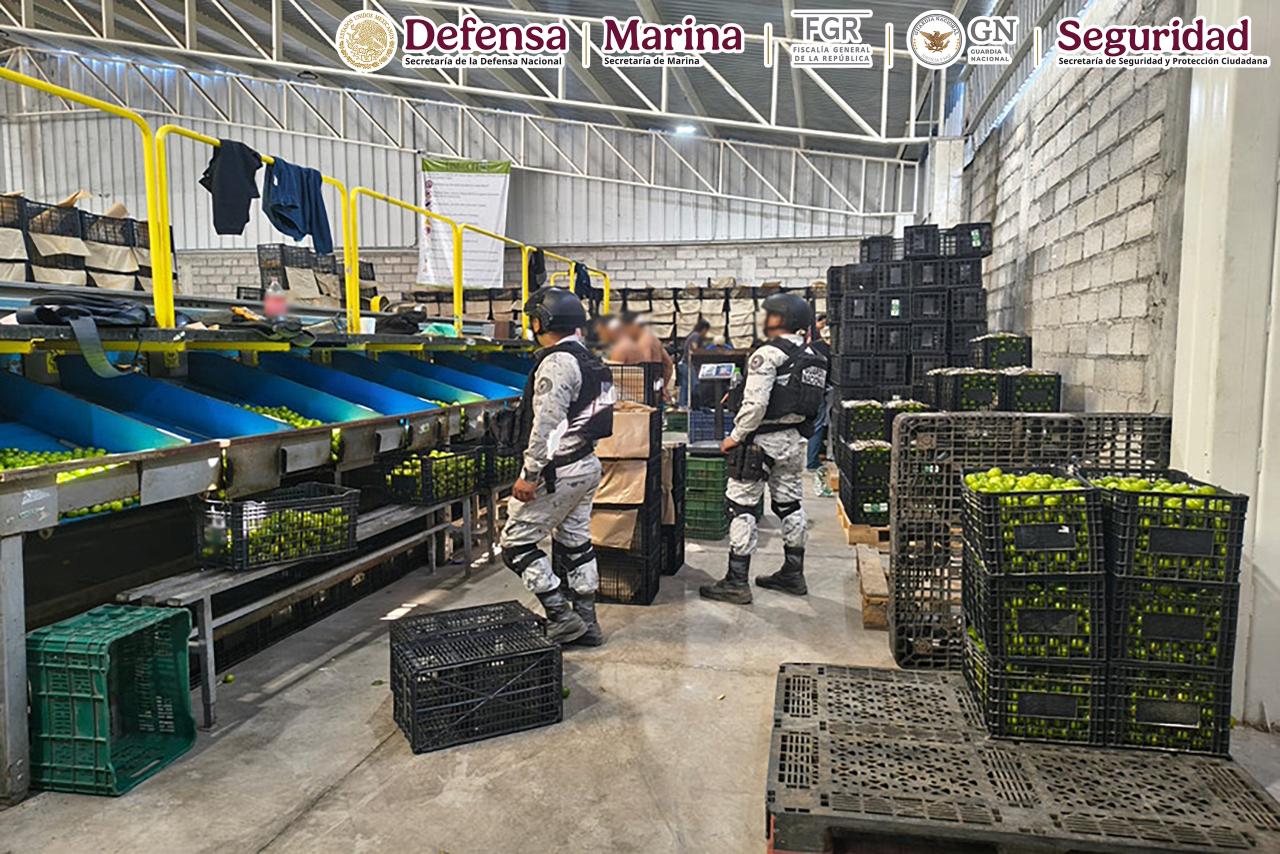 Guardias Nacionales en empresas limoneras