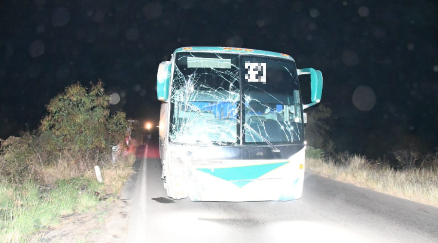 El autobús presentó daños en la parte frontal tras impactarse contra el animal