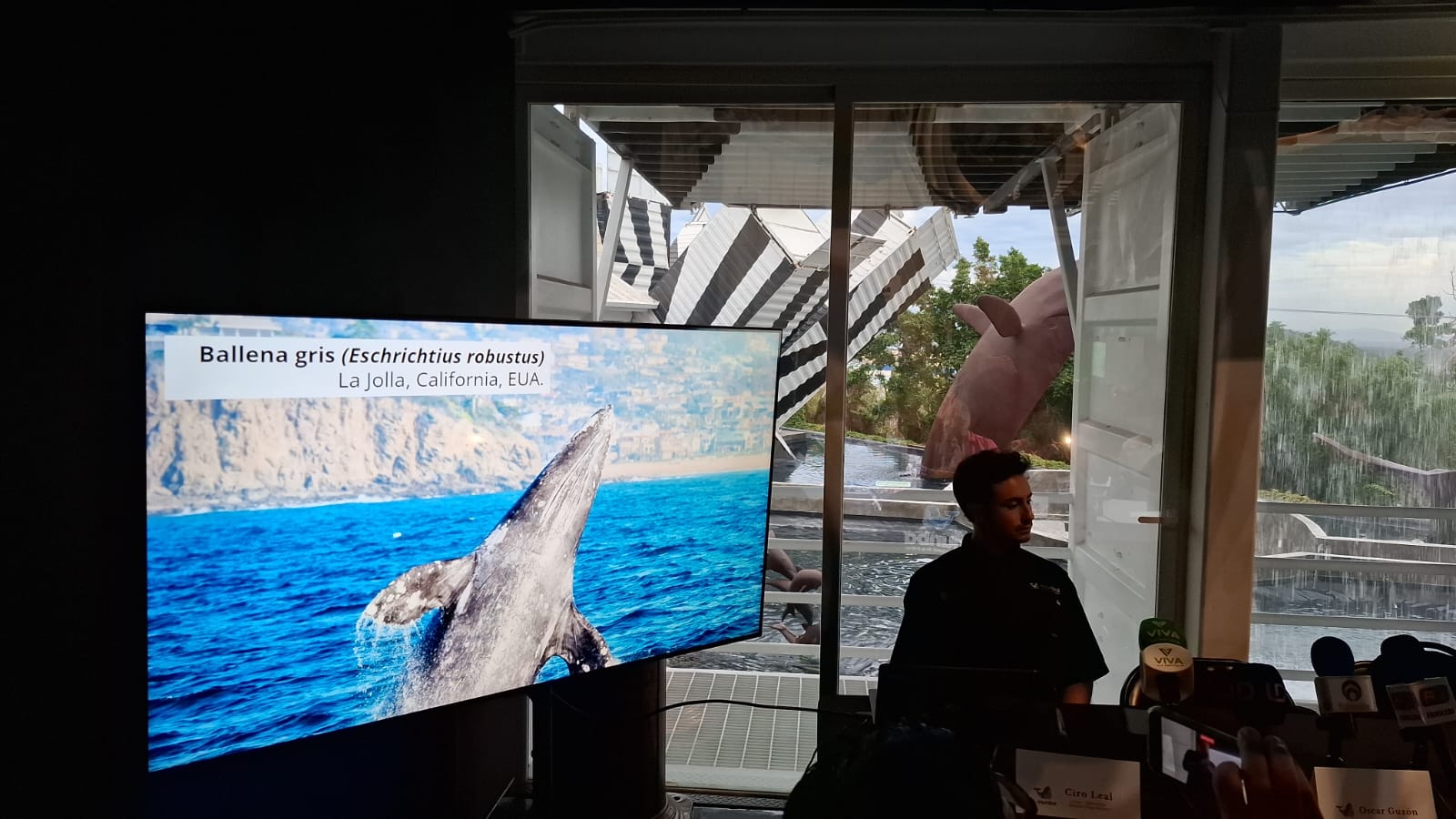 conferencia de Museo Nacional de la Ballena