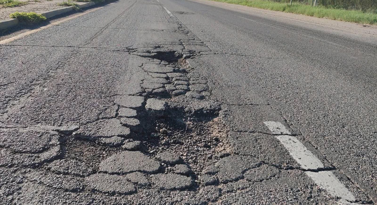 bache8