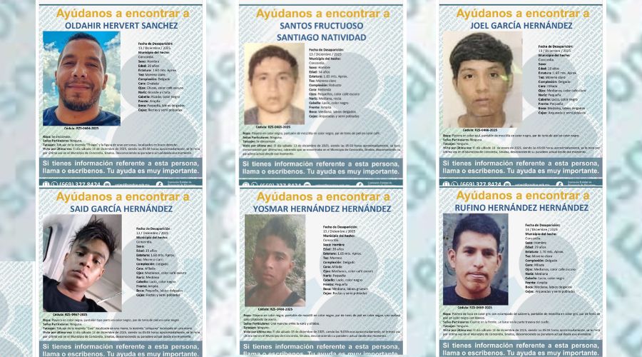 Fichas de búsqueda