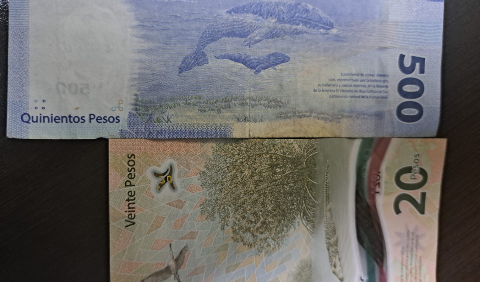 Billete de quinientos y de veinte pesos