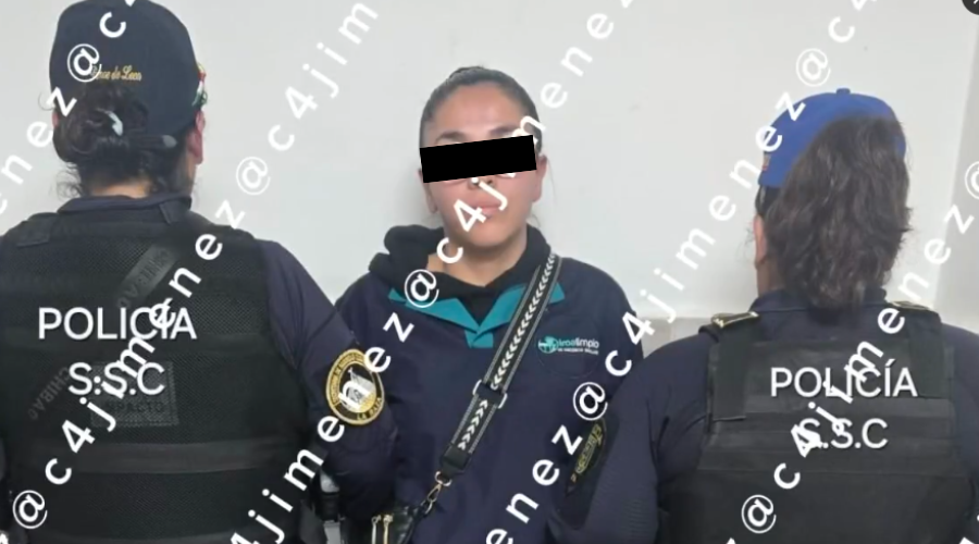 La mujer fue detenida por maltrato infantil, aunque días más tarde fue puesta en libertad.