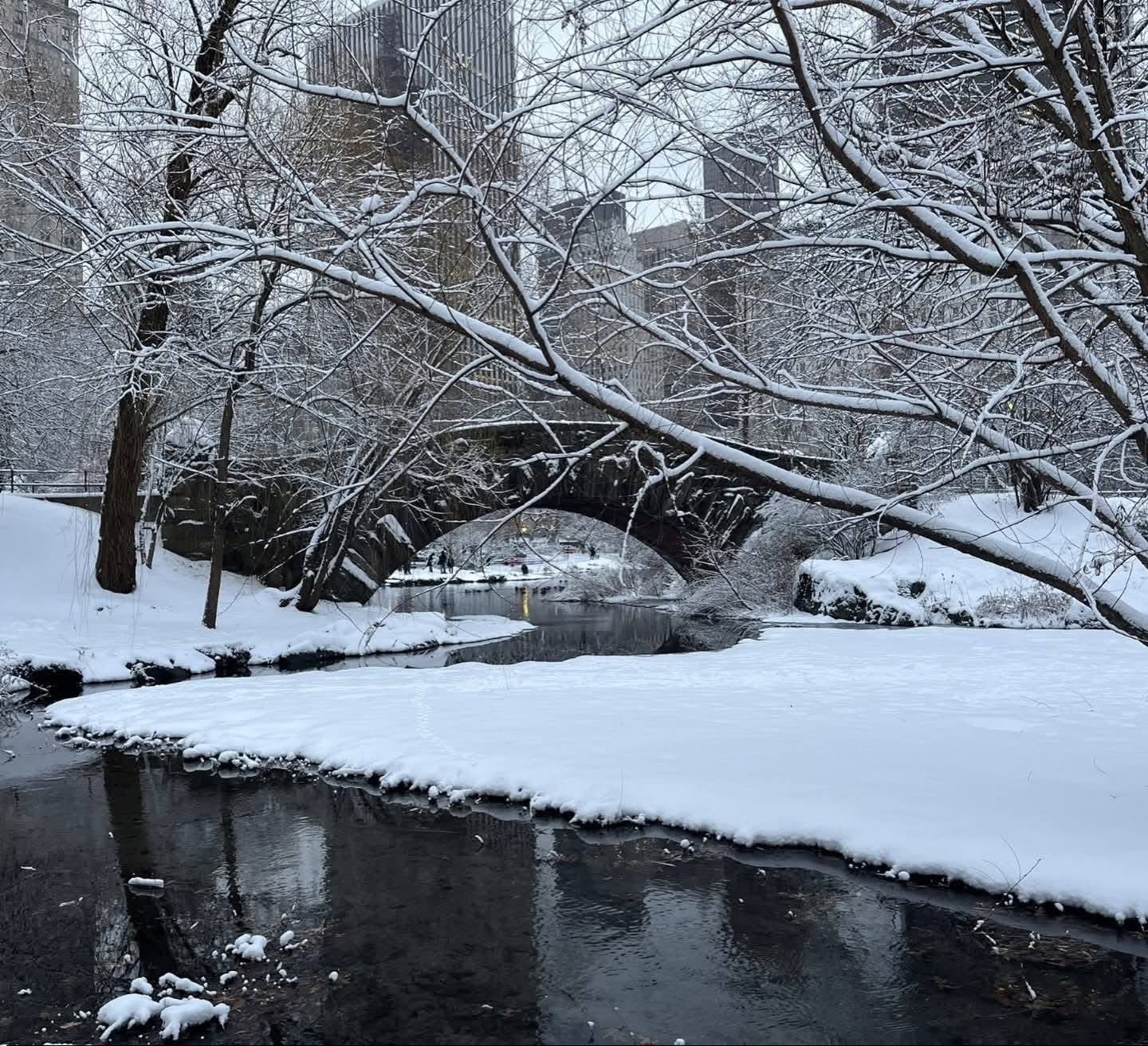 imagen de Central Park nevado con el lago y la nieve en la tierra