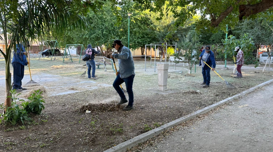Autoridades municipales y vecinos suman esfuerzos para rescatar los parques públicos en Ahome.