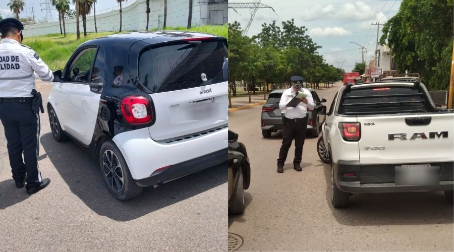 Polarizado carros