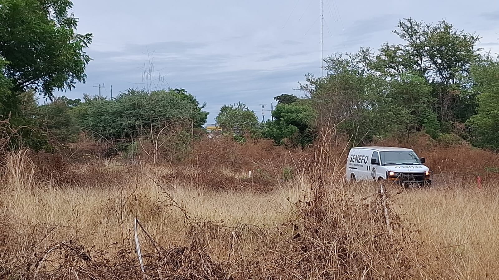 camioneta de Semefo en baldío de Culiacancito donde se localizo un cuerpo sin vida
