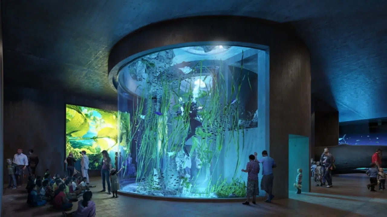 interior de Gran Acuario de Mazatlán