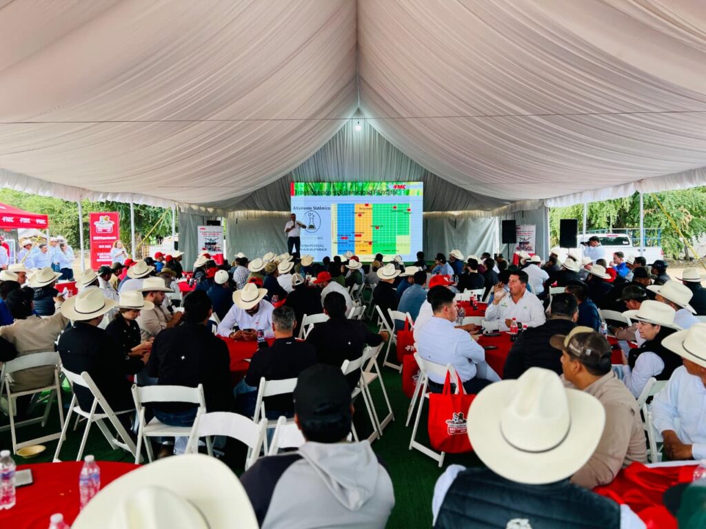 Campo en Sinaloa