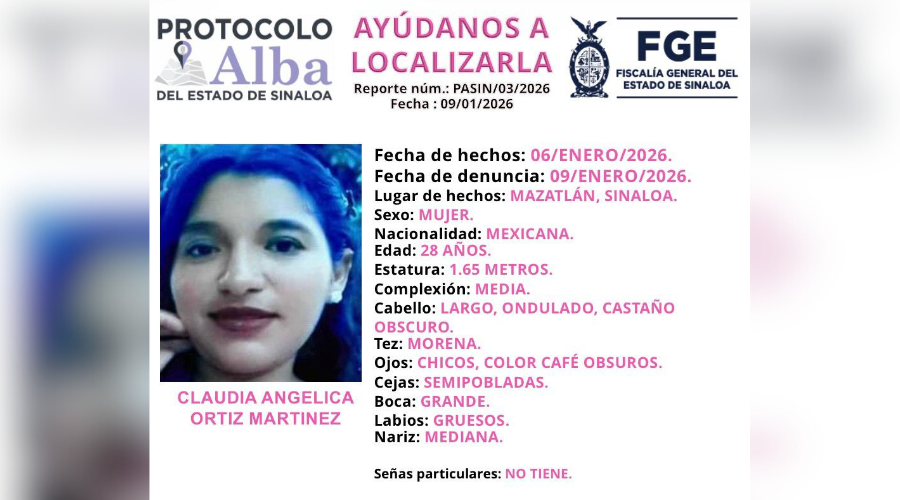 Ficha de búsqueda de Alerta Amber