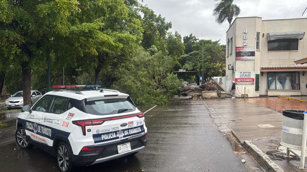 Unidad de tránsito en malecón viejo