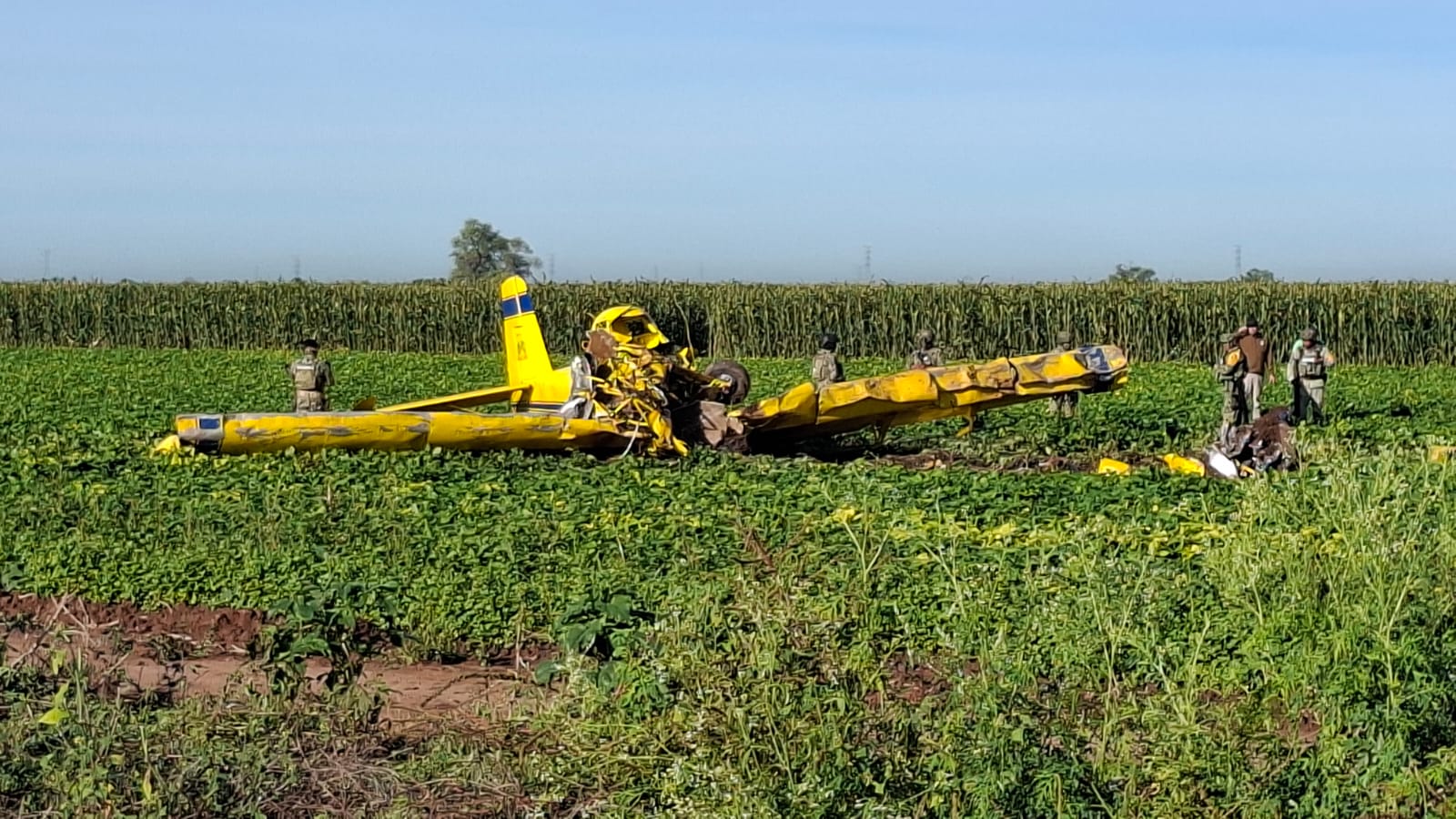 Avioneta desplomada en campo agrícola y elementos de la marina custodiando la zona