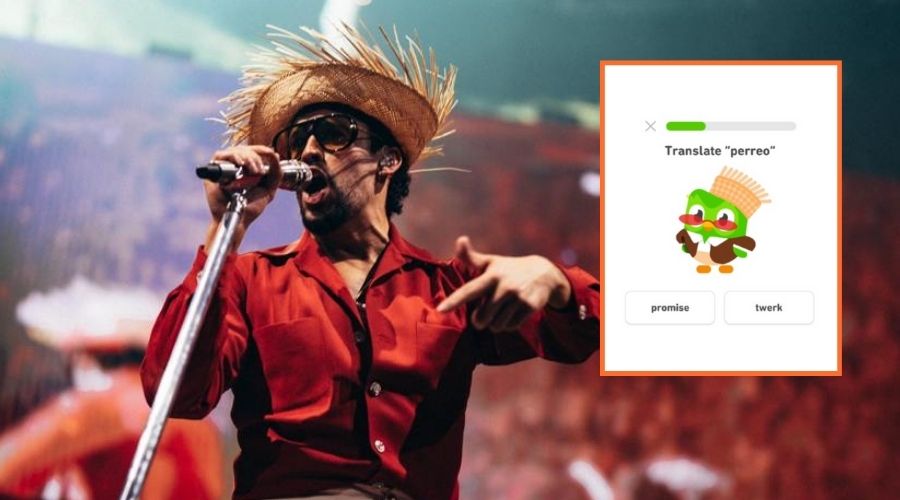 Bad Bunny en concierto