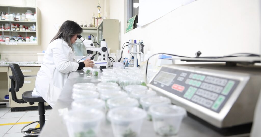 Frascos con comida y plantas en su interior