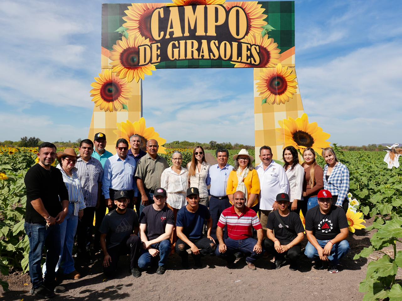 Campo de girasoles en Mocorito