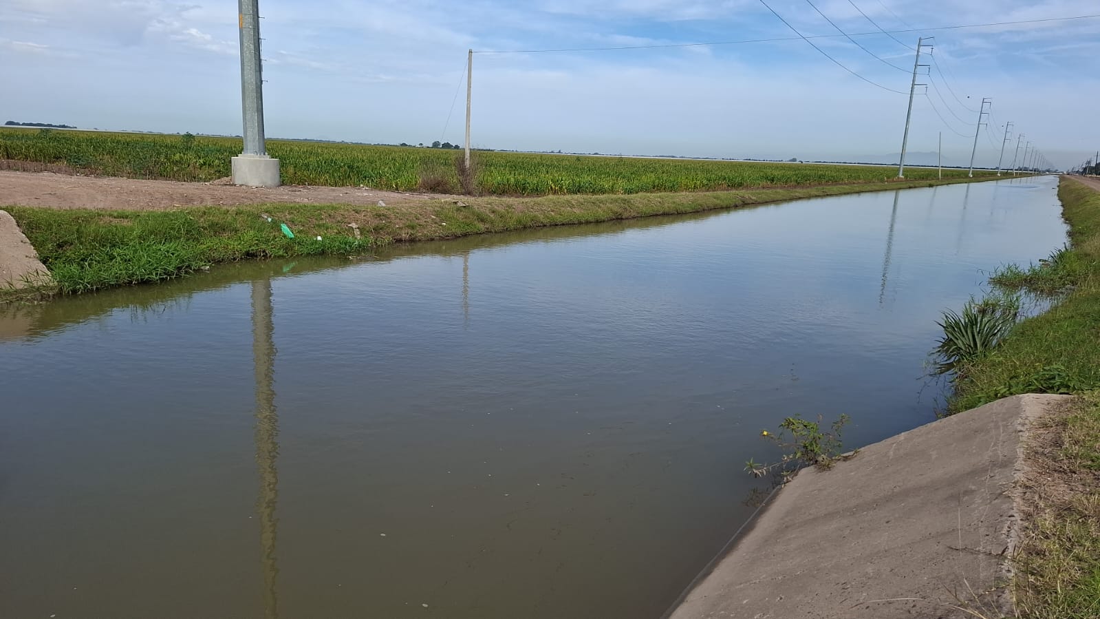 Canal de riego