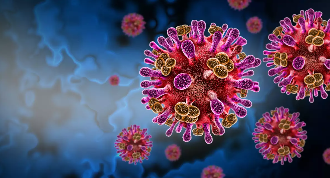 India alerta por nuevo brote del virus Nipah en Bengala Occidental