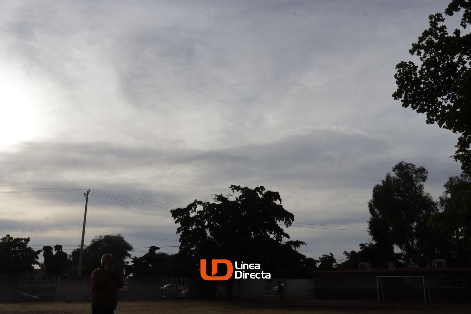 Cielo nublado y arboles