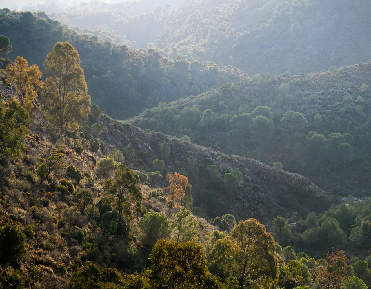 Paisaje de montaña con leve banco de niebla