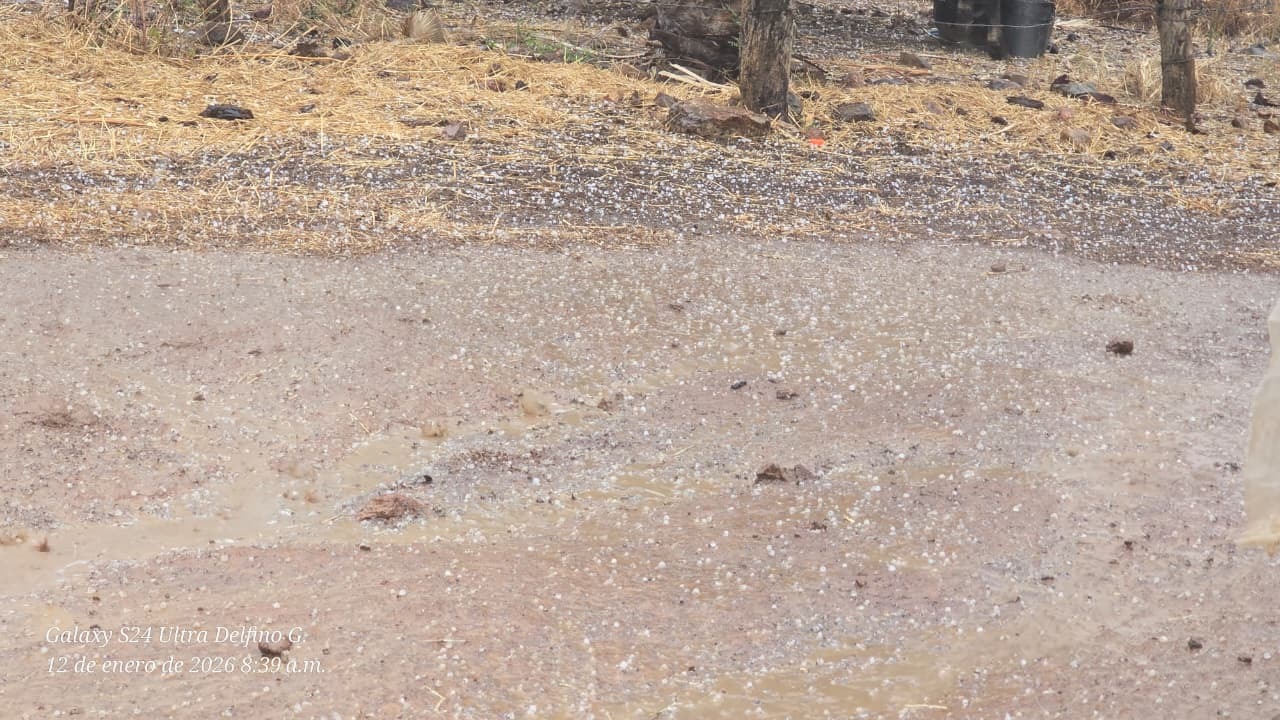 Captura de una intensa granizada