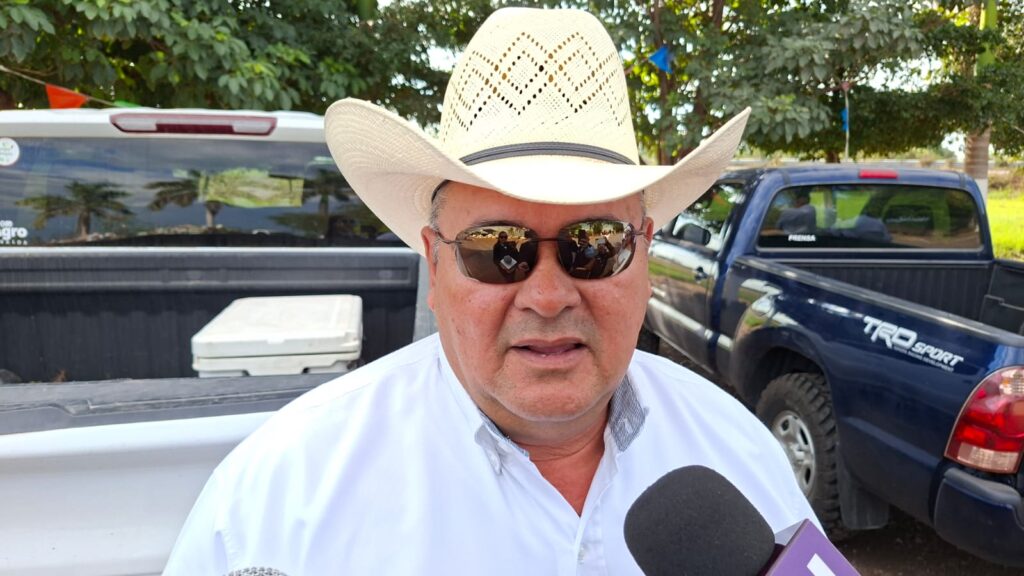Presidente de la Junta Local de Sanidad Vegetal