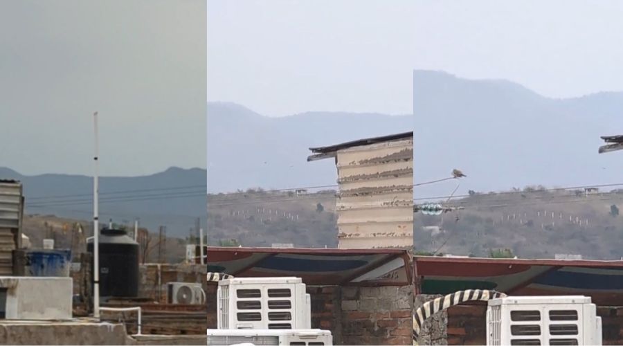 Videos desde la azotea de diferentes casas