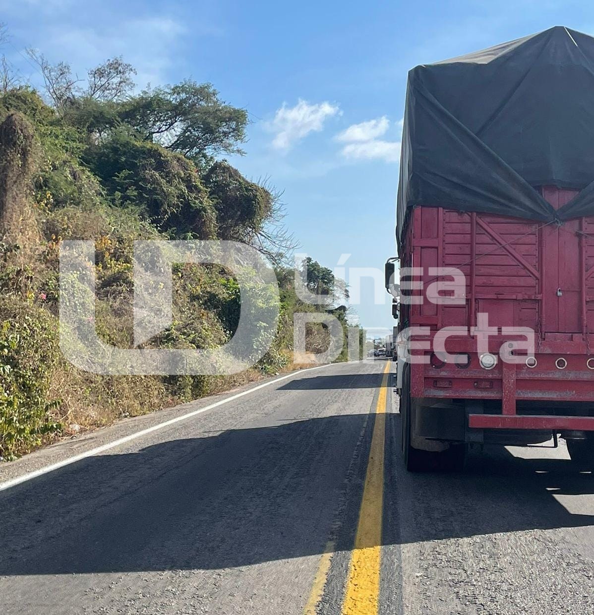 Camiones en carretera