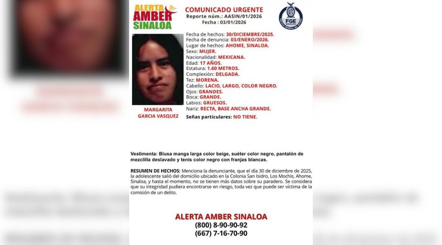 Ficha de búsqueda proporcionada por Alerta Amber Sinaloa