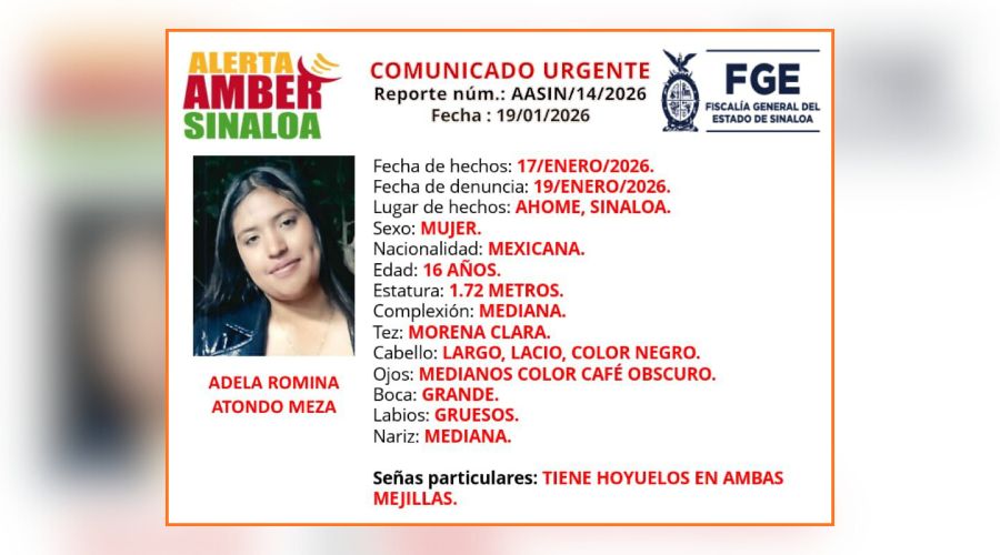 Ficha de búsqueda de una persona con fotografía