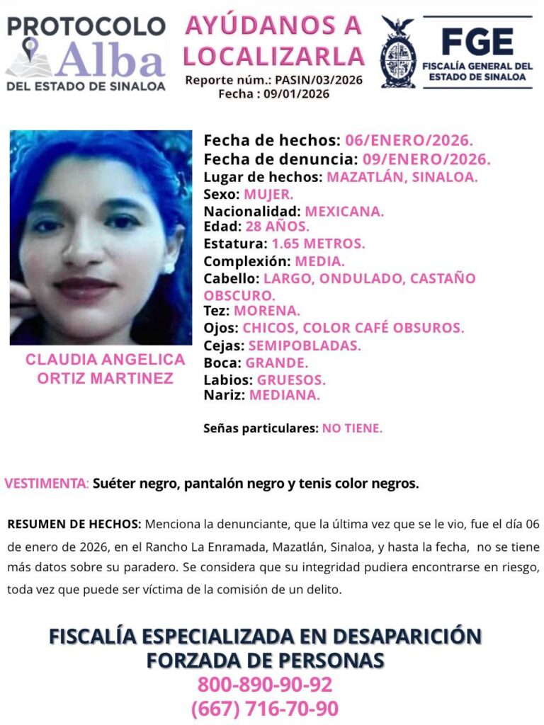 Ficha de búsqueda de Alerta Amber