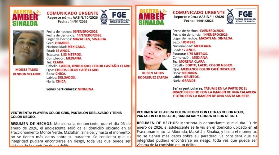Fichad de búsqueda