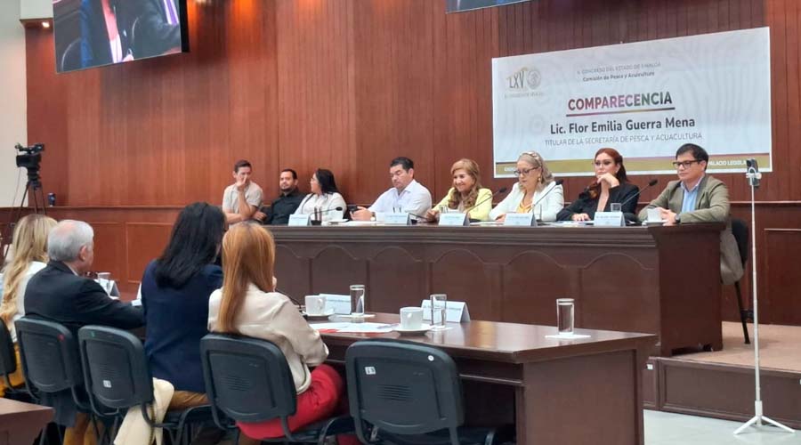 Flor Emilia Guerra Mena comparece ante diputados