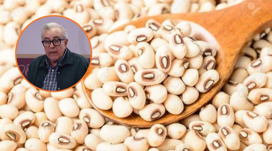 En grande frijol yorimuni y una porción tomada por una cuchara de madera, en un circulo Rocha Moya