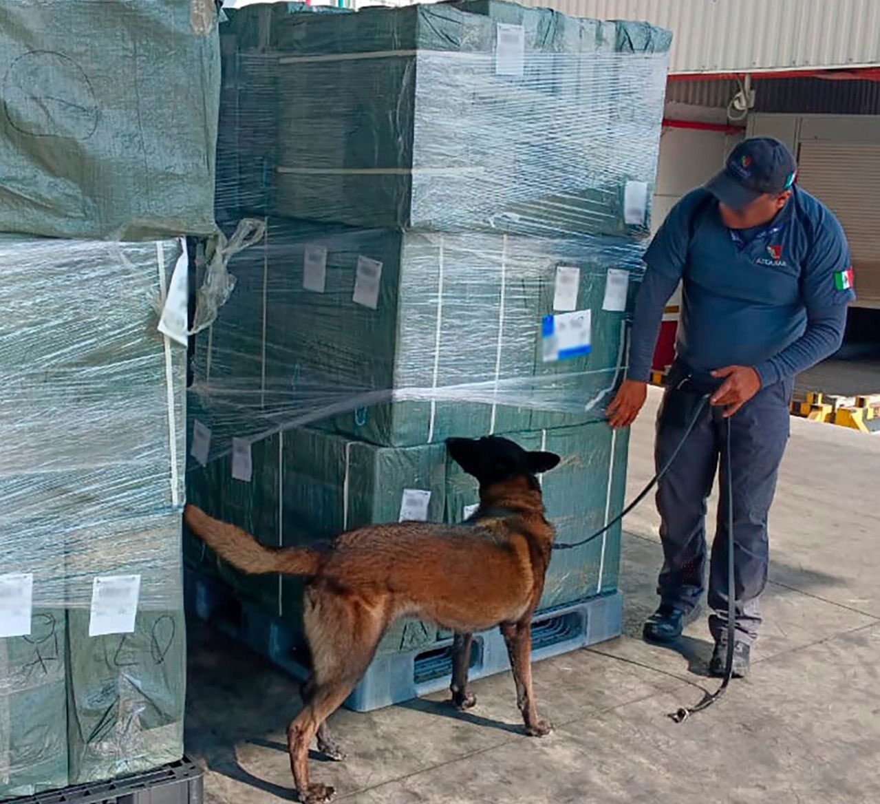 Autoridades federales aseguran casi 20 toneladas de tabaco ilegal en el AICM