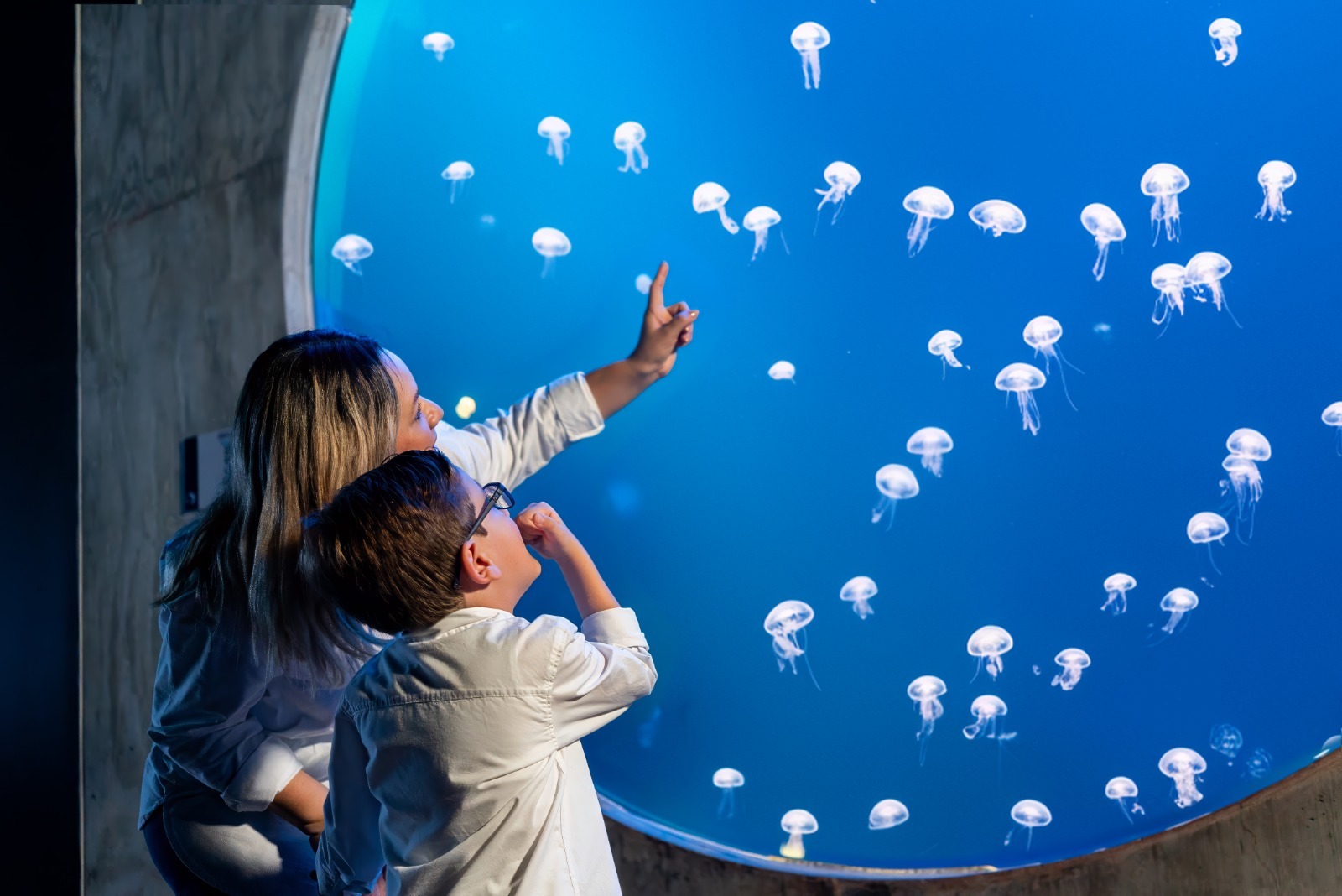 Visitantes del Gran Acuario Mazatlán