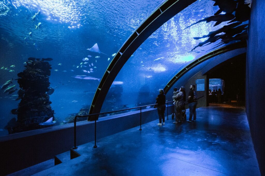 Gran Acuario Mazatlán anuncia paquete para locales